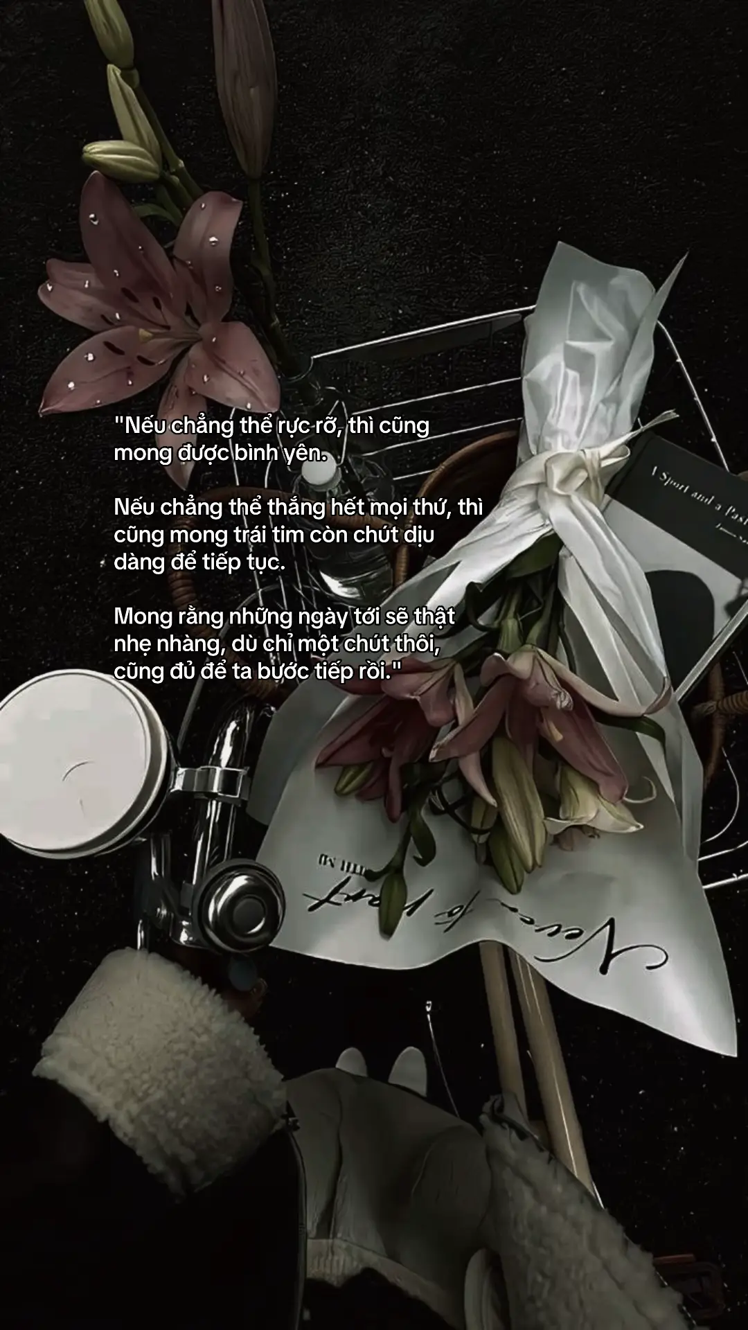 #tamtrang #viral #xh 