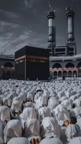 #sportsontiktok #foryou #foryoupage ##viralvideo #💯 