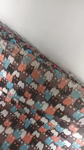 #michistiktok #gatos #gatunostiktokeros #gatoslovers 