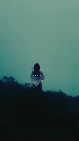 Bhula dena mujhe he alvida tujhe.💔🥀😔 #fyp#lyricevideo#status#viral #saam