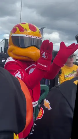 missing the shenanigans 😔 #firestonefirehawk #indycar #mileaukeemile 