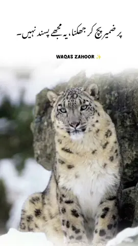 ⚔️💯💀 #foryou #repost #viral #saport_me💙🥰 #foryouviralvideotiktok❤️❤️❤️❤️ 