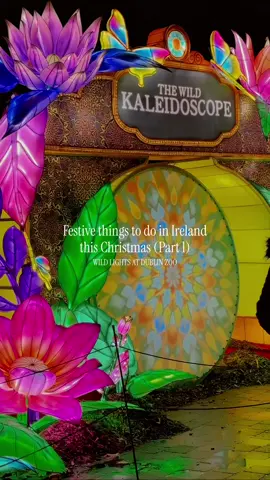 Festive things to do in Ireland at Christmas (Part 1) COMMENT ‘Nollaig’ to get our completely FREE guide to 40+ things happening in Ireland this Christmas including: 🎁 Christmas Markets ✨ Christmas Lights ⛸️ Ice Skating 🎄 Christmas Festivals 🍸 Christmas themed bars and restaurants  With only 7 weeks to go until Christmas we’re putting together a list of some of the best things to do around Ireland this Christmas  Kicking the list off, we visited the preview of the Wild Lights at Dublin Zoo and this family friendly lights trail is perfect for a Christmas night out ✨ The trail is filled with colour and you barely notice the time go as you move from one zone to the next 🎨 The Wild Lights is running from this Thursday 6th November and we would highly recommend it as part of your build up to Christmas 🎄  #wildlightsdublinzoo #christmasinireland #thingstodoatchristmas #invite  Christmas in Ireland | Things to do in Ireland at Christmas | Festive events in Ireland at Christmas 