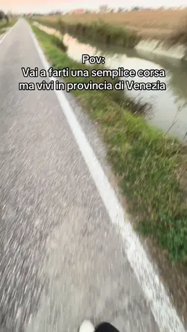 Di solito trovo il gruppo di mama e figli, oggi solo una piccola pantegana🥺 #pantegana #venezia #corsa #fosso 