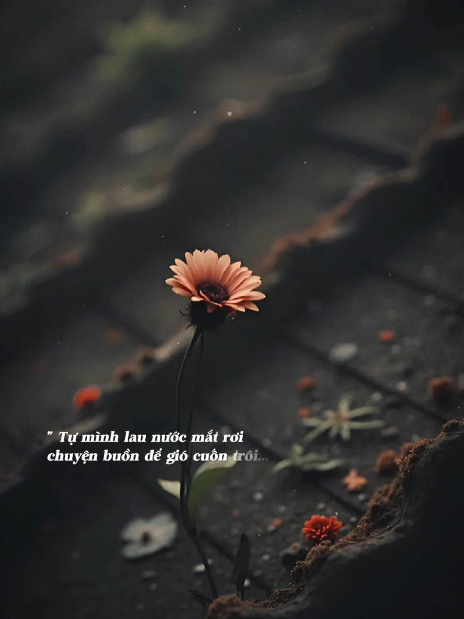 Buồn làm chi nữa em ơi..! #7lanvapnga8landunglen #casigiaumat #casigiaumatcover #cover #nhachaymoingay 