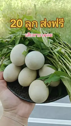 แซ่บๆๆๆ จ้าาา 🔥🔥🔥 #ไข่ตัว #ไข่ลูกเป็ดเวียดนาม 