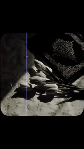 Repost🥹❤️‍🩹||islamic video ❤️🥹🕊️#islamic #islamiccommunity #islamicvideos #allah❤️ #islamic_video 