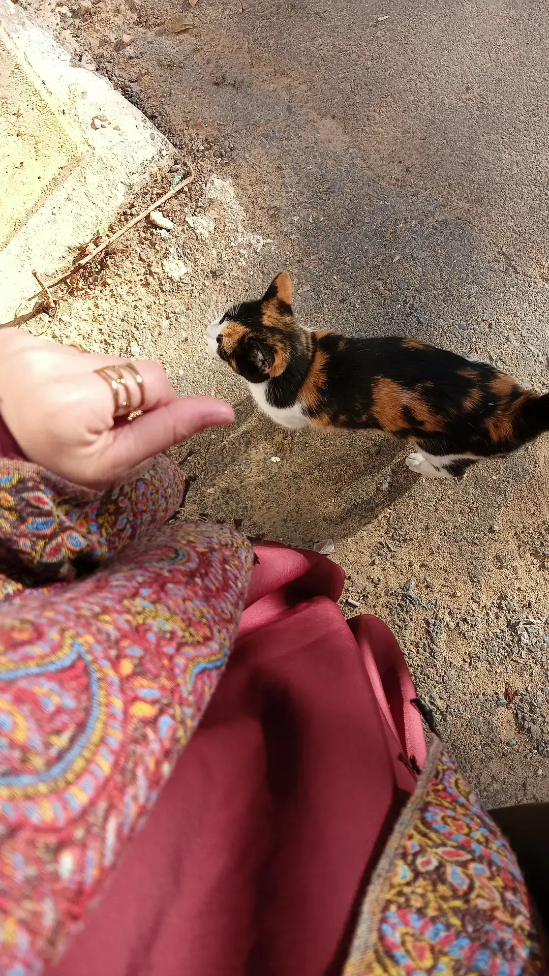 sac by @YAMA   #explor #photography #عشوائيات #algeria #foryoupage 