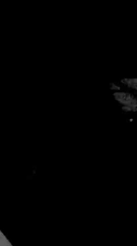 بكيف الله ضلت مو بكيفه.. #ترند #اكسبلور #جيل_الطيبين #fyp 