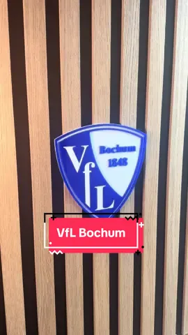 VfL Bochum 🔵⚪️ Which Club Next? #bochum #vflbochum #nrw #football #logo 