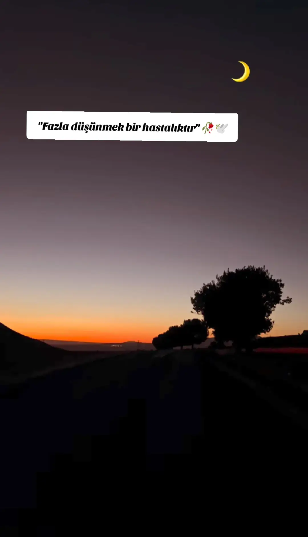 Jiyan xweşe lê em westiyane #Kulik u #kewok  ##keşfet #guzel #çiçekler      