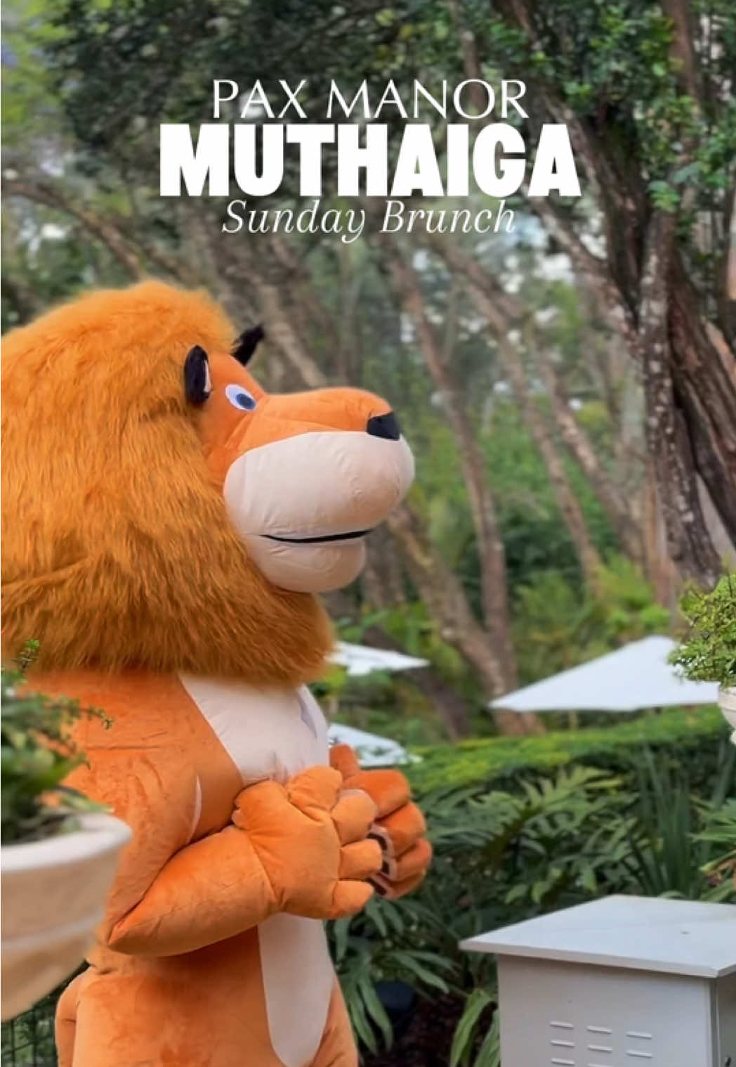 Celebrate in Timeless Luxury - Pax Manor At Pax Manor, every event becomes a story whispered through elegance and grace. Set amidst the lush charm of Muthaiga, our estate offers the perfect harmony of grandeur and intimacy — a sanctuary where your moments take center stage. Whether it's a wedding that captures hearts, a soirée that dazzles under the stars, or a corporate affair defined by sophistication — every detail is curated to perfection. Here, luxury isn't just seen — it's felt, savoured, and remembered long after the last toast. Host Your Unforgettable Event at Pax Manor Pax Manor, Muthaiga +254 116 101010 | +254 117000333 reservations@paxmanormuthaiga.com