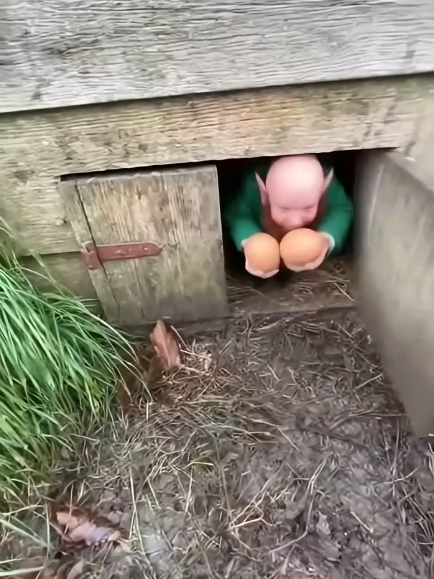 #viral #criaturasextrañas #criaturasextrañasdelanoche #duendes 