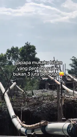 #tambangemas  #xybca #fyp 