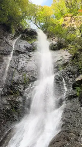 #جورجيا #باطومي🇬🇪 #طبيعة #تصويري #اكسبلور 