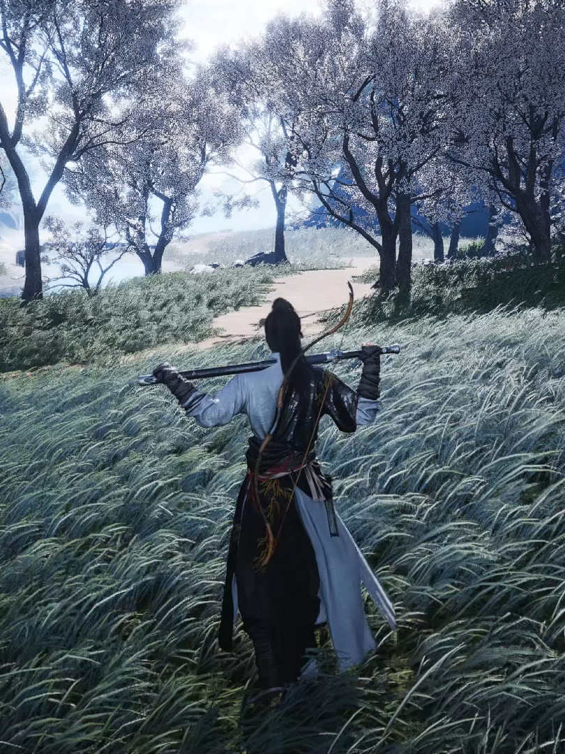 Just enjoying the quest and scenery #wherewindsmeet #WWMCCPS1 #donghua