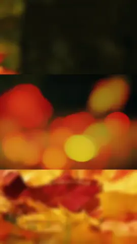 Vẫn biết là theo quy luật nhưng vẫn khó để chấp nhận 😔