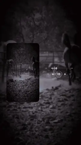 بنت الشجاع#قناة_بندر_العتيبي #هشتاقاتي_الترند_المشهور #اكسبلور_متابعة_لايك👍💖💖💖 #هشتاقات_تيك_توك_العرب #طرررب🎻🎼 