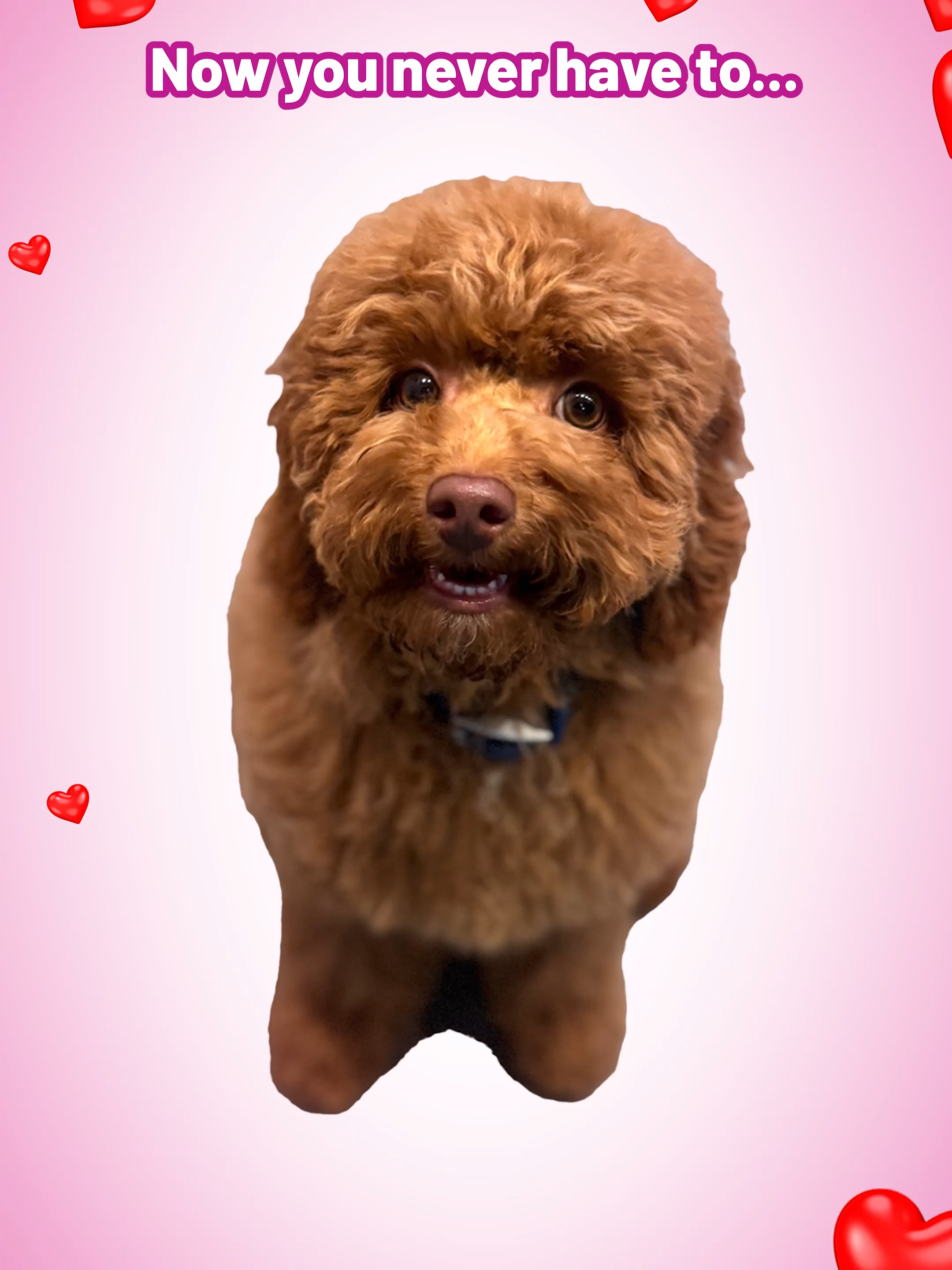 Get a Custom Pet Charm, never be lonely again <3 #dogmom #customcharm