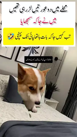 o my yes🔥😄#memesbyaamir #trendingmemes #growaccount #trendingmemes #foryoupageofficiall 