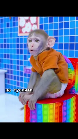 #бибизяния #monkey #пратки #обезьянки #❤️ 