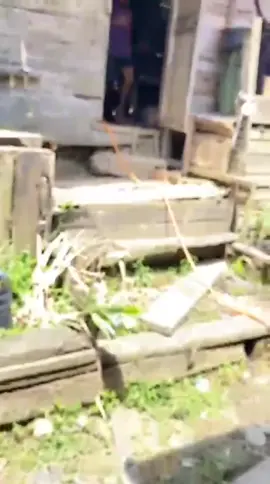 bagok Gampong mesjid CV 7@bupati_acehtimur @infoacehtimur_official @mualem567 #infoacehtimur_official #muzakir