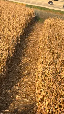 Just another day at work