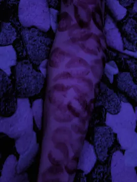 любовь моя @KLENFKS 💋🫂