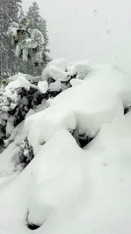 #saifullah#lake#kalam    #thisyear