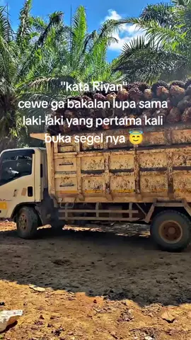 bukan begitu kah cerita kW semalam@riyan 583 #fypppppppopppppppppppppppppppfyp #fypシ゚viral #sawitkalimantan 