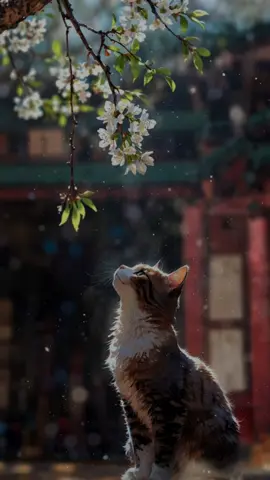 أقدارُ اللهِ كُلُّها خيرٌ وإن أوجعتكَ ❤🌷#الحمدلله_دائماً_وابداً💚 