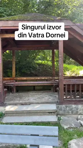 Asta a ramas la Vatra Dornei
