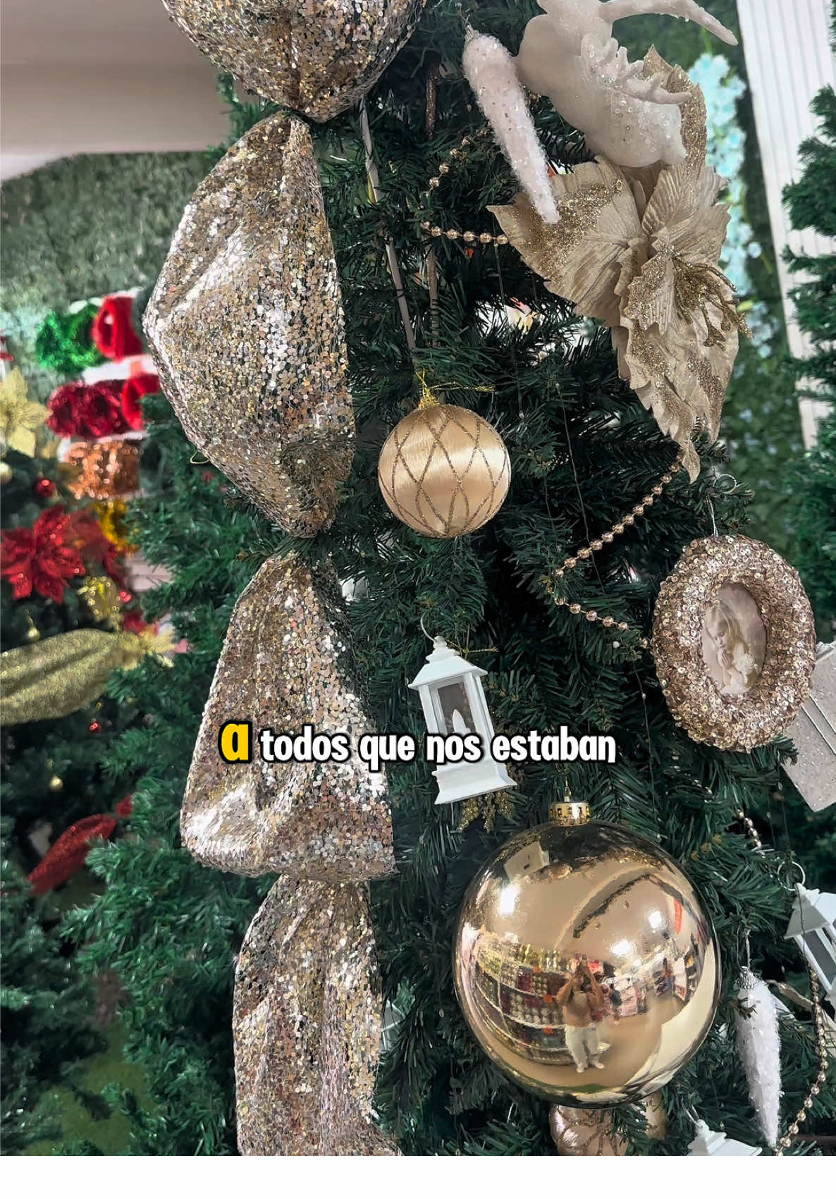 Llegaron nuestros árboles de Navidad‼️🎄#navidad #merrychristmas #arboldenavidad #homedecor #bolivia🇧🇴 