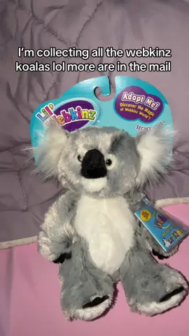 Of course I’m getting two of each one to play and one to keep tagged lol #webkinz #koala @Webkinz 
