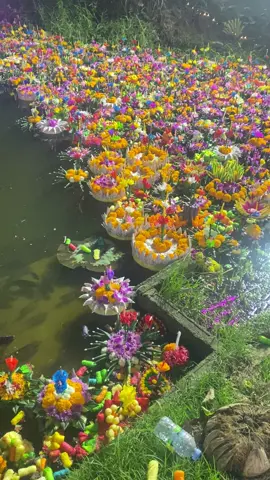 เก็บดีไหม5555💵💵