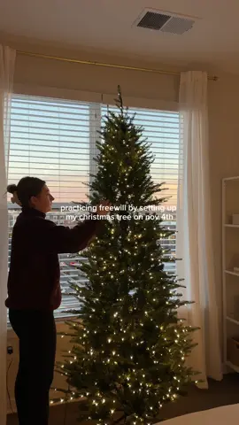 scratched the itch so hard that i drove four hours round trip in DMV traffic to get my christmas decor…🤨 but now i’m happy!!!! best time of the year!🎄🎄🎄 #viralchristmastree #christmas #christmasdecor #christmas2025 #fyp 