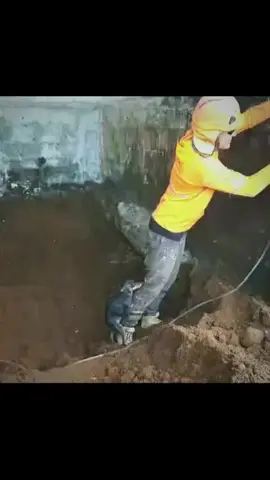 köpek aşık gibi #köpek #yavruköpek #köpekvideoları #aşk #hayvansevgisi 