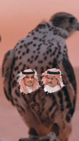 جديد مرزوق الثبيتي🤙#مرزوق_الثبيتي#مهنا_العتيبي#اكسبلورexplore#تصاميم_فيديوهات🎵🎤🎬#تصاميم_عبدالرحمن_الروقي @مرزوق الثبيتي  