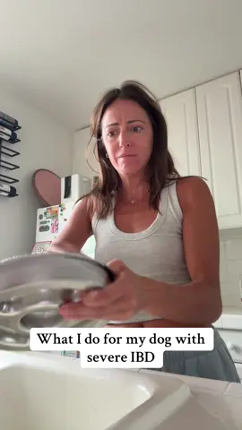 #ibd #doghealth #healthydogs #healthydogfood #dogfood 