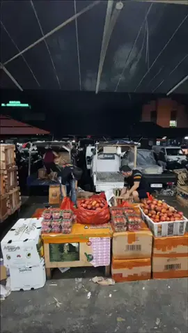 ready selalu strawberry freshh & frozen strawberry & frozen blackberry, terong belanda ready selalu - los buah los a no. 154, order bisa di dm/wa yg ada di bio profil massze😜@Hefi farm🍓  #pasarindukkramatjati #hefirarm #strawberryjumbo #strawberrybalap🍓 #HEFIFARMNUSANTARA🍓 #mbg 