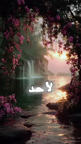 #creatorsearchinsights 