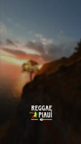 🇯🇲🇯🇲🇯🇲#os #melhores #reggae #remixx #piaui 