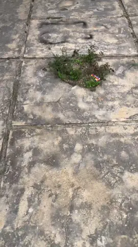 postingnya kemaleman😴 #beatespk44⚡ #beatmodifikasi #properasik #beatproper #fyp 