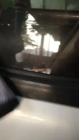 hasil sebagus ini cuma 15.000 doangg 👀✨ #perawatanmobil #pengkilapmobil #solusiautocare #viral #fyp 