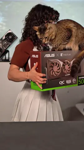 Nothing better than building a @noctua_at x @ASUS North America build in the fall🍂🍁 follow for pt.2🤭 The quality of this PC is actually insane, thank you Noctua for sending them over🫶🏼 #HallOfTech #techbaddie #pcbuild #custompc #pc 