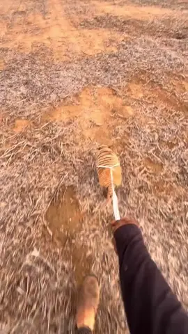 tá perdido meu cachorro #fy 