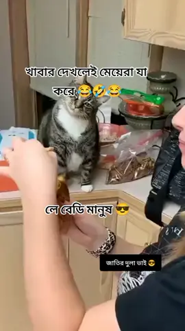 #Funny Cats On Tiktok #viralvideo #foryoupage #🇧🇩♥🇸🇦 