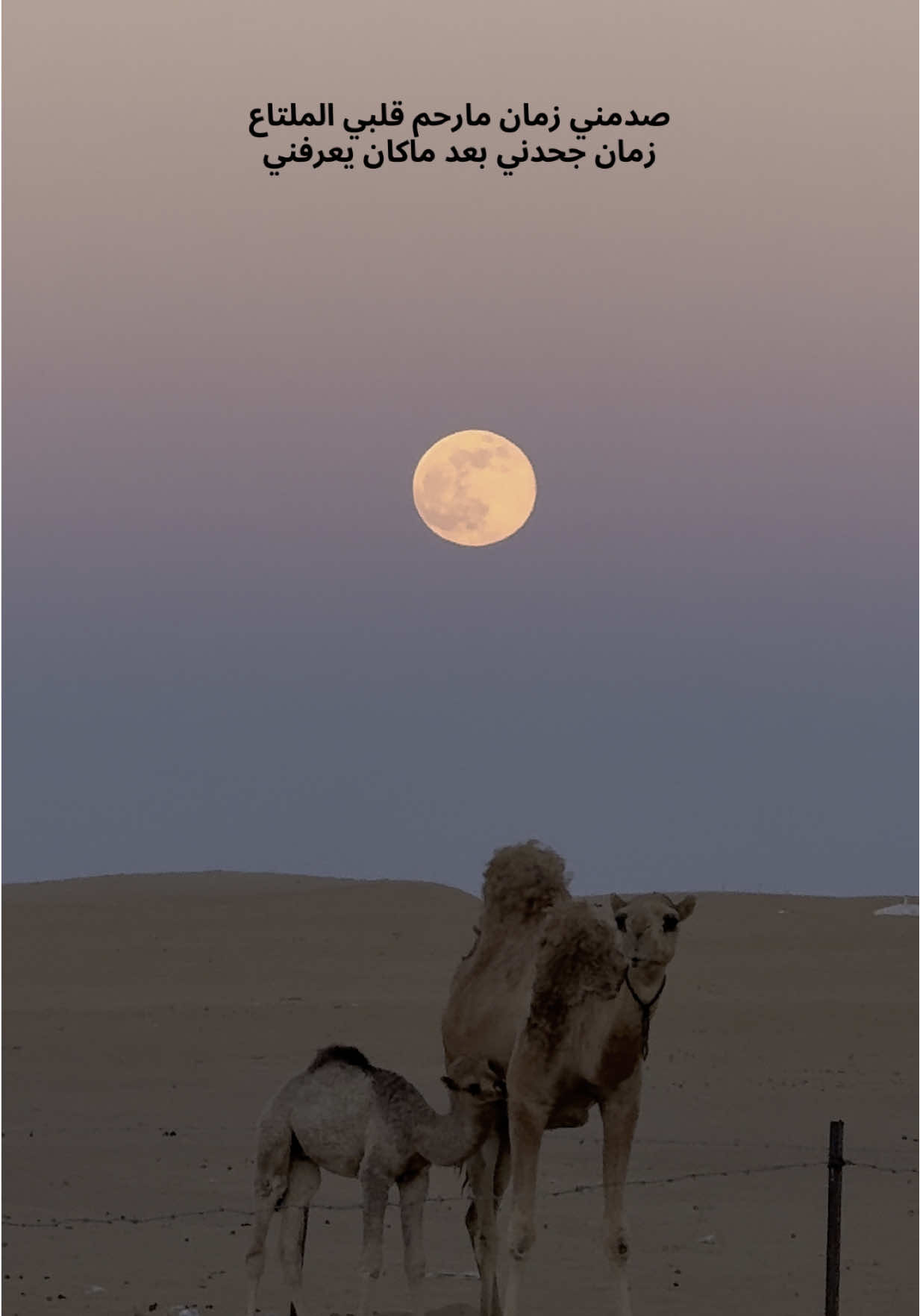 #ماشاءالله #fyppppppppppppppppppppppp #fyp 