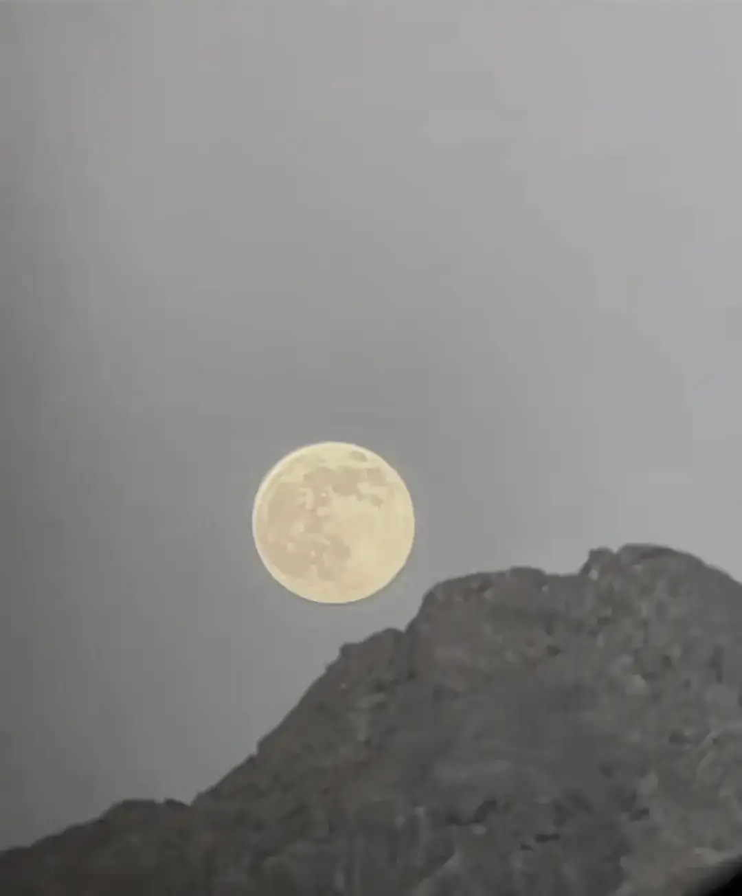 #رexplore❥🕊 #اللهم_صلي_على_نبينا_محمد 