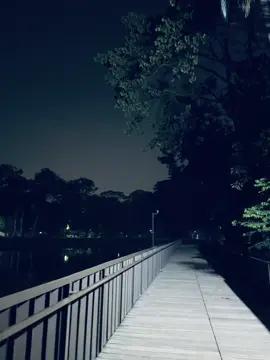 Night ramna view ✨#fyppppppppppppppppppppppp #tiktokviral #frezzmyaccount #nightview #viraltiktok 